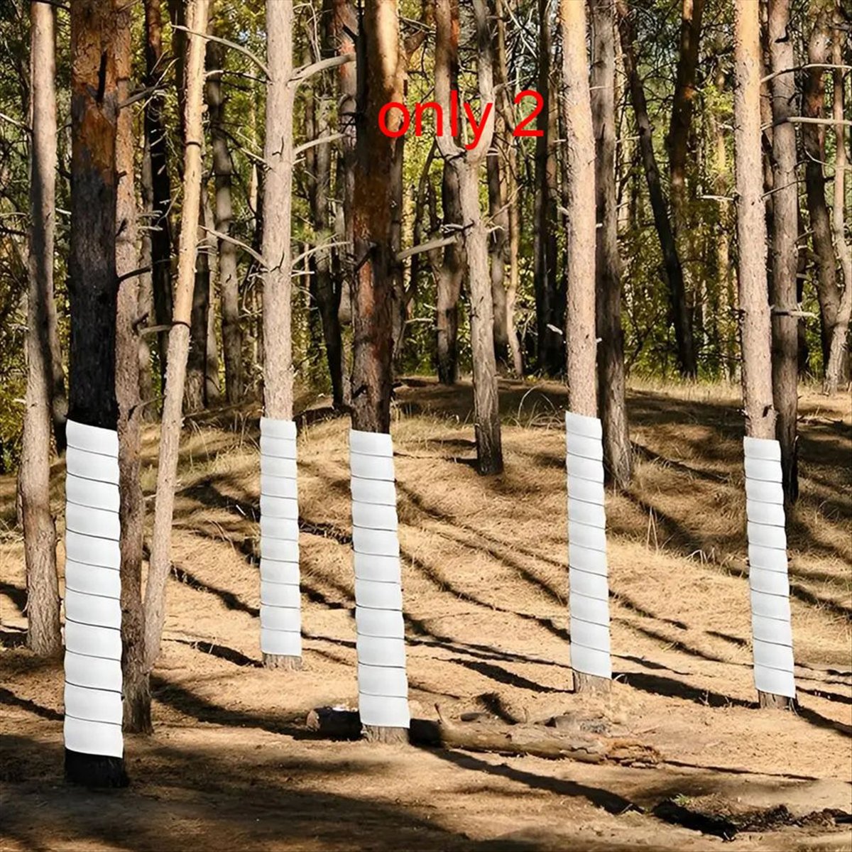 A75K Plant Tree Trunk Protecto - Gardening Tools B&Q review and price
