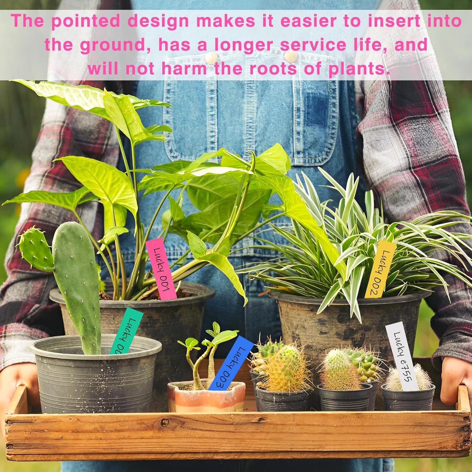 500Pcs Plant Labels Garden Sig - Garden Label Marker review and price