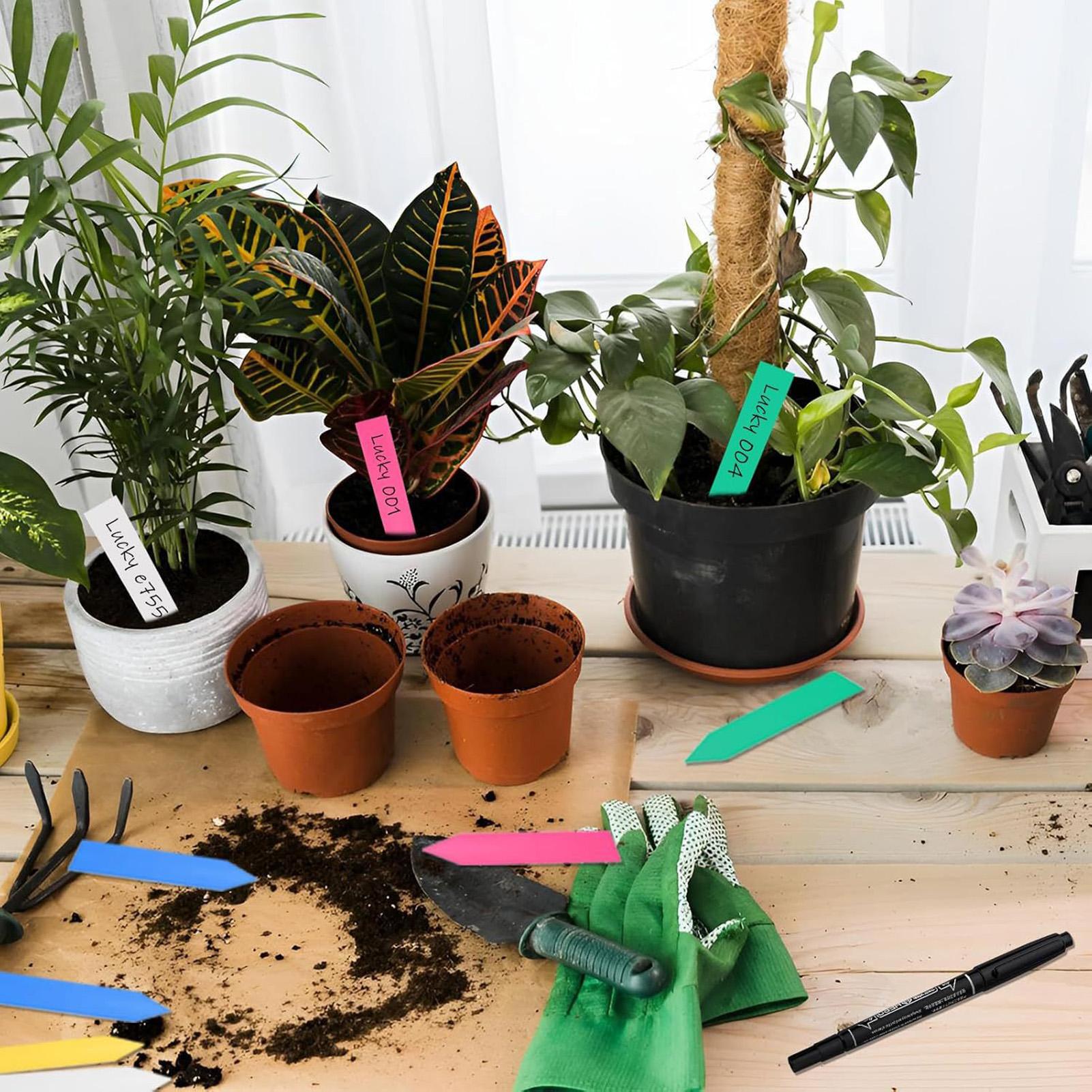 500Pcs Plant Labels Garden Sig - Garden Label Marker review and price
