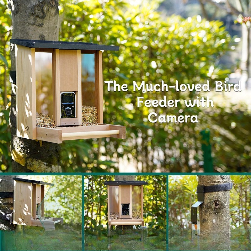 AI intelligent bird feeder wit - Gardening Tools With Definition review and price