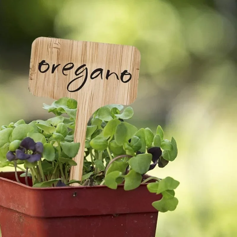 Garden Tags T-Type Bamboo Plan - Plant Label Tags review and price