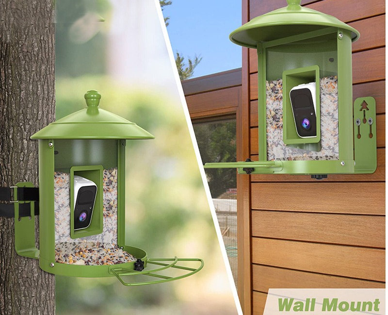 AI intelligent bird feeder wit - Gardening Tools With Definition review and price