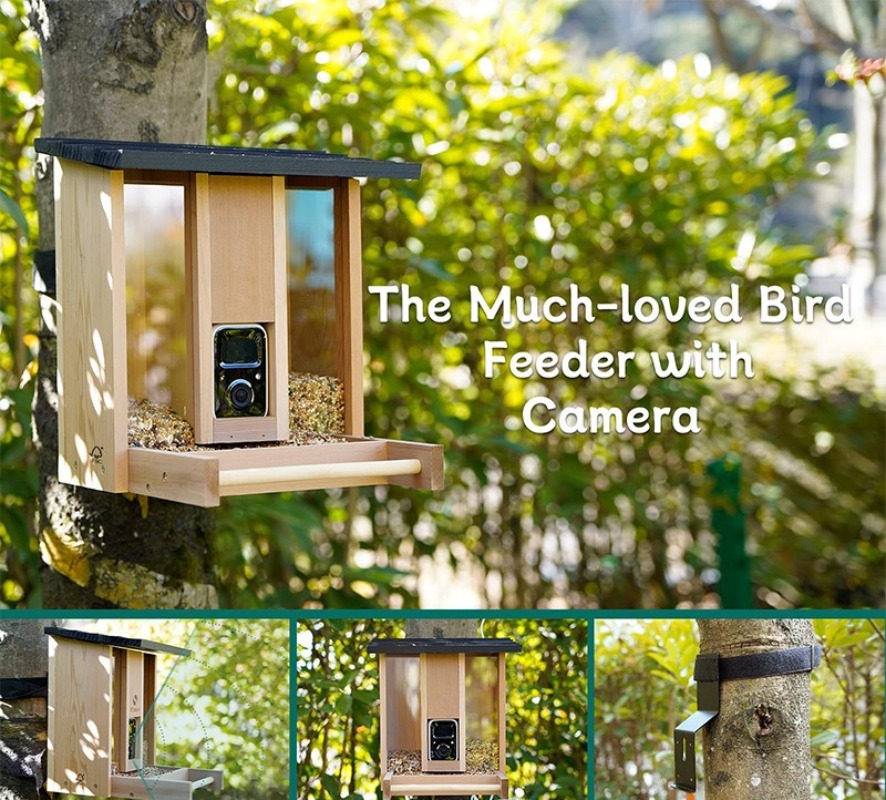 AI intelligent bird feeder wit - Gardening Tools With Definition review and price