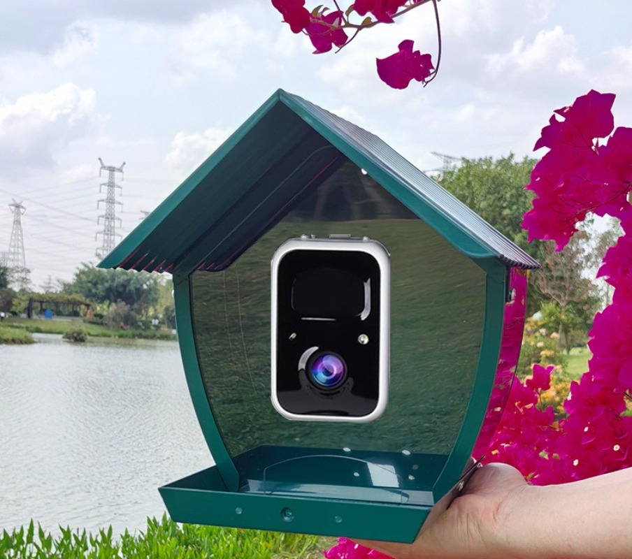 AI intelligent bird feeder wit - Gardening Tools With Definition review and price