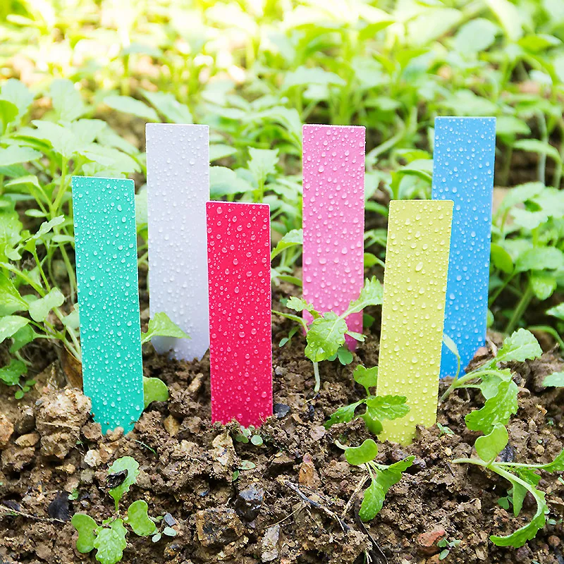 100pcs Thick 4inch Plant Label - Garden Label Marker review and price