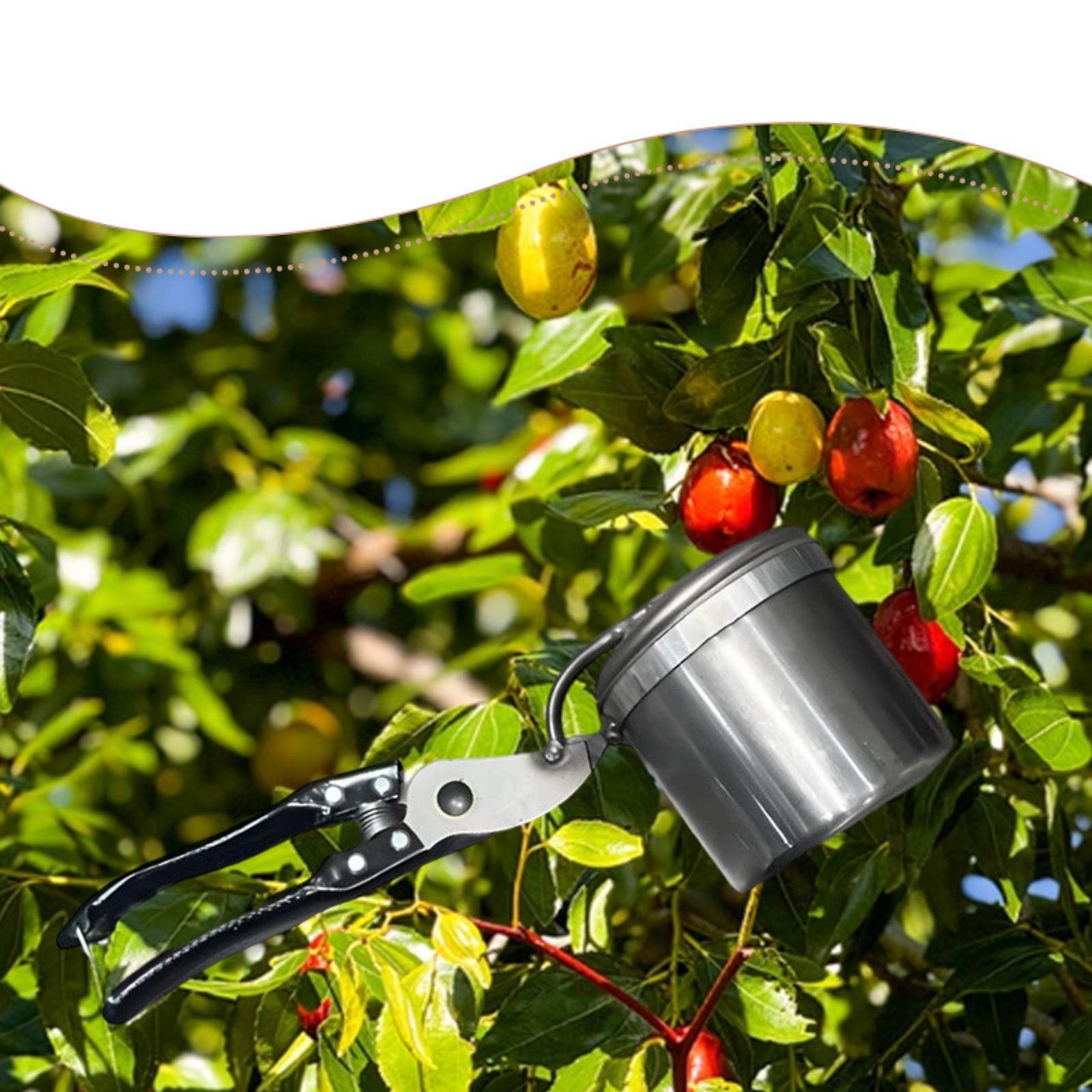 Fruit Picker, Easy to Use Port - Gardening Tools Uses review and price