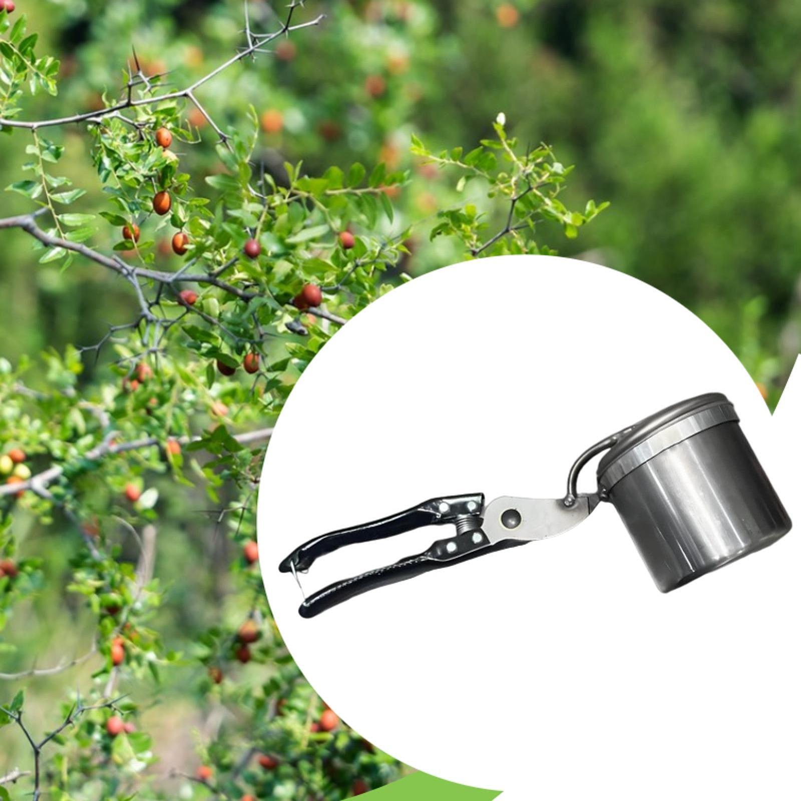 Fruit Picker, Easy to Use Port - Gardening Tools Uses review and price