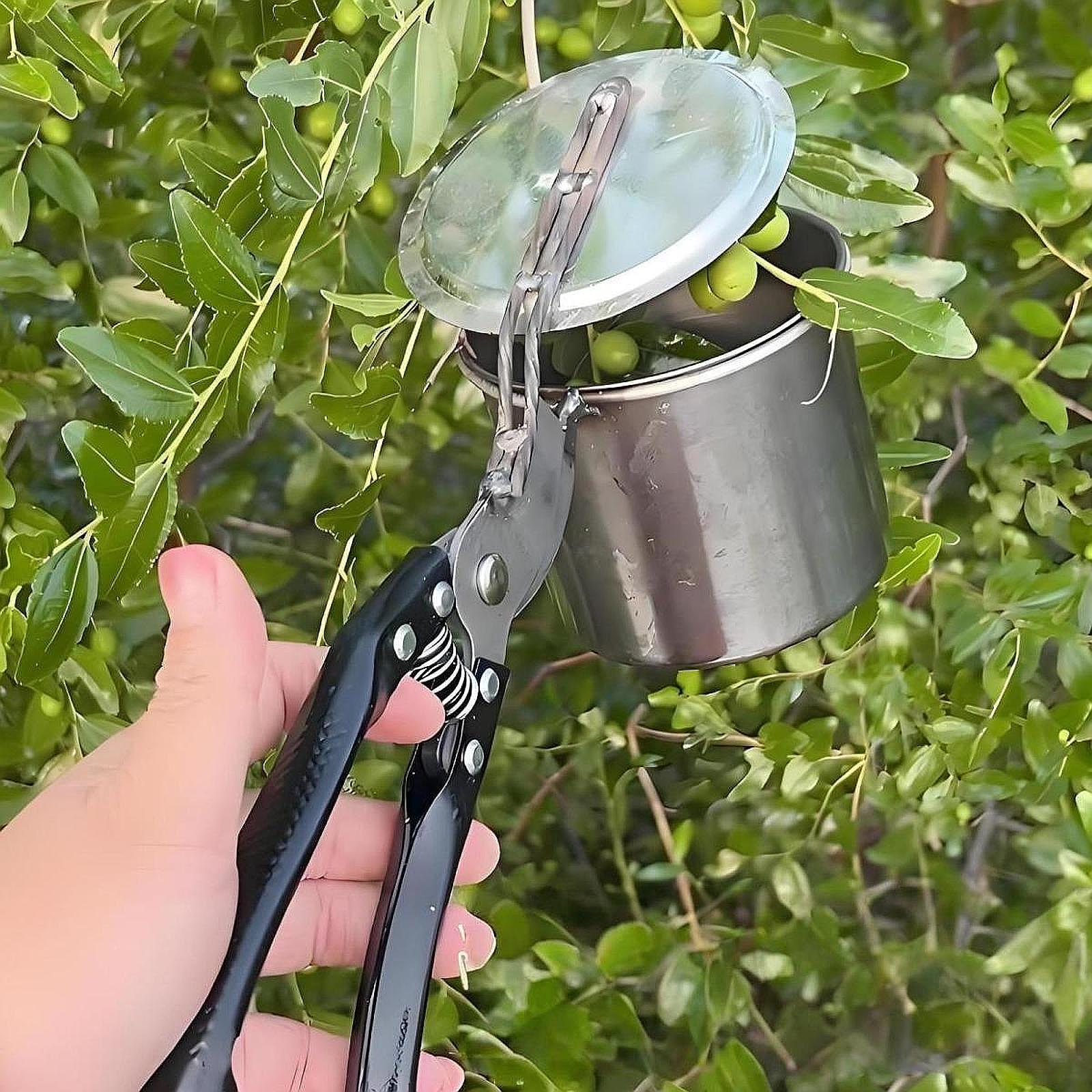Fruit Picker, Easy to Use Port - Gardening Tools Uses review and price