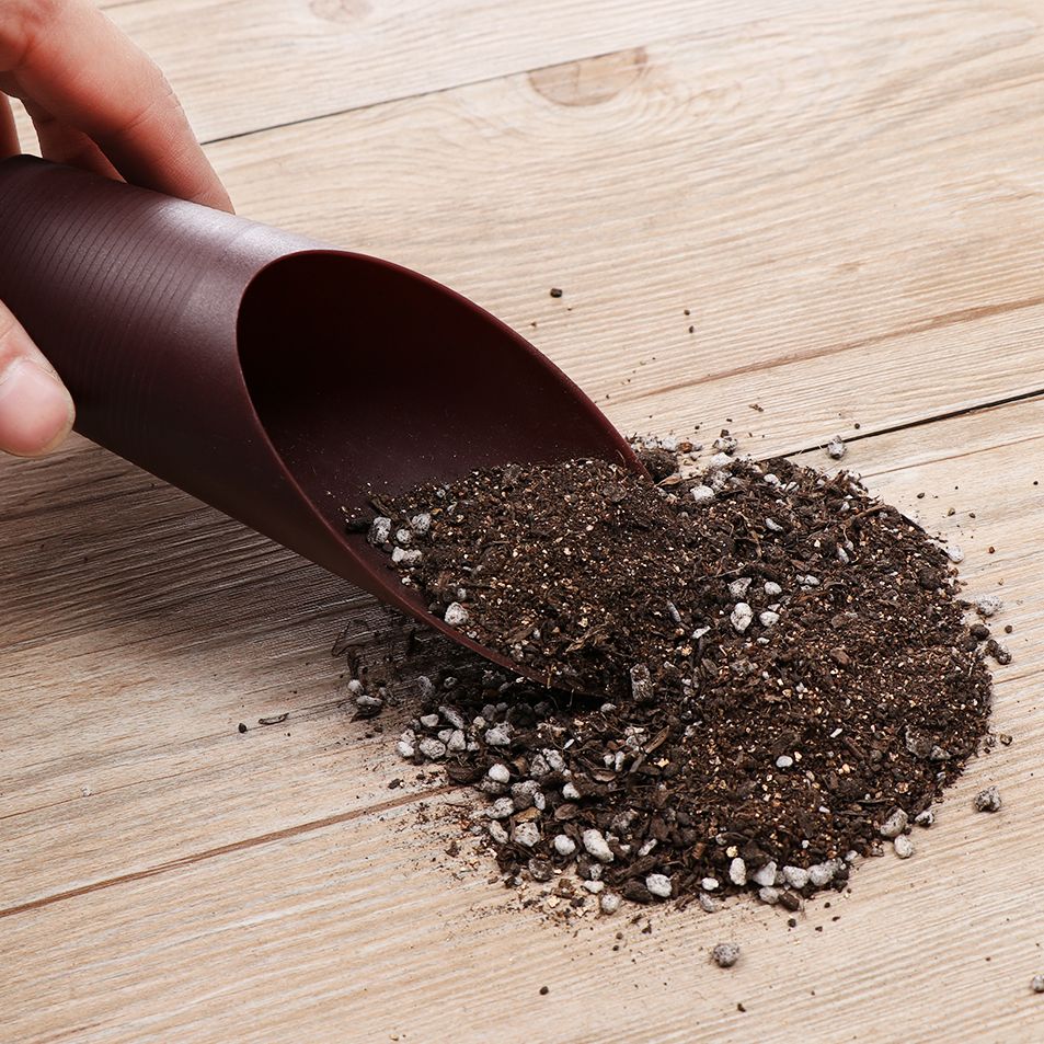 1PC Plastic Soil Shovel Cup Fo - Gardening Tools Gifts review and price